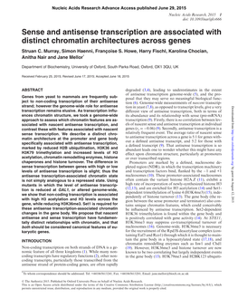 Sense and Antisense Transcription Are Associated with Distinct Chromatin Architectures Across Genes Struan C
