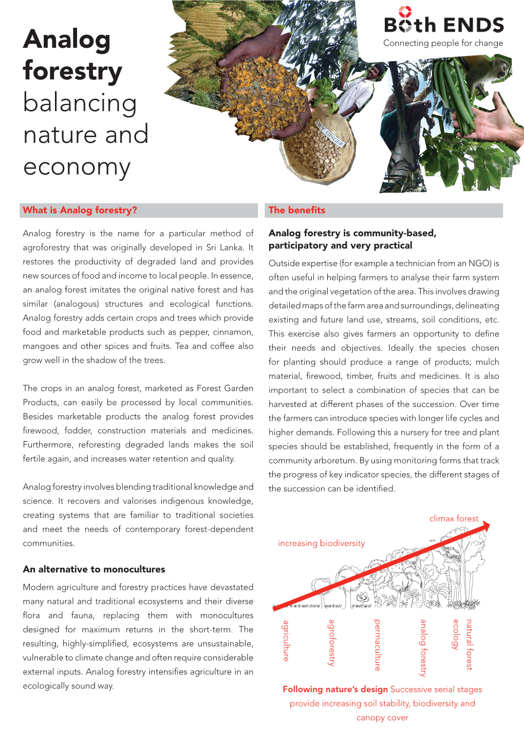 Analog Forestry Balancing Nature and Economy