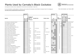 List of Plants Used by Carnaby's Black Cockatoo