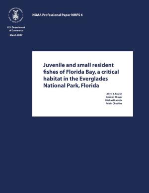 Juvenile and Small Resident Fishes of Florida Bay, a Critical Habitat in The