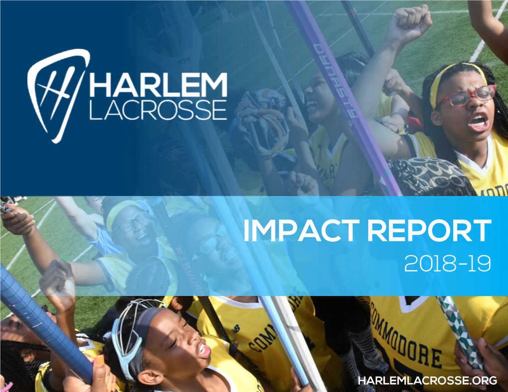 Impact Report 2018-19