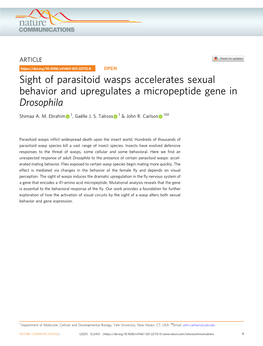 Sight of Parasitoid Wasps Accelerates Sexual Behavior and Upregulates a Micropeptide Gene in Drosophila ✉ Shimaa A