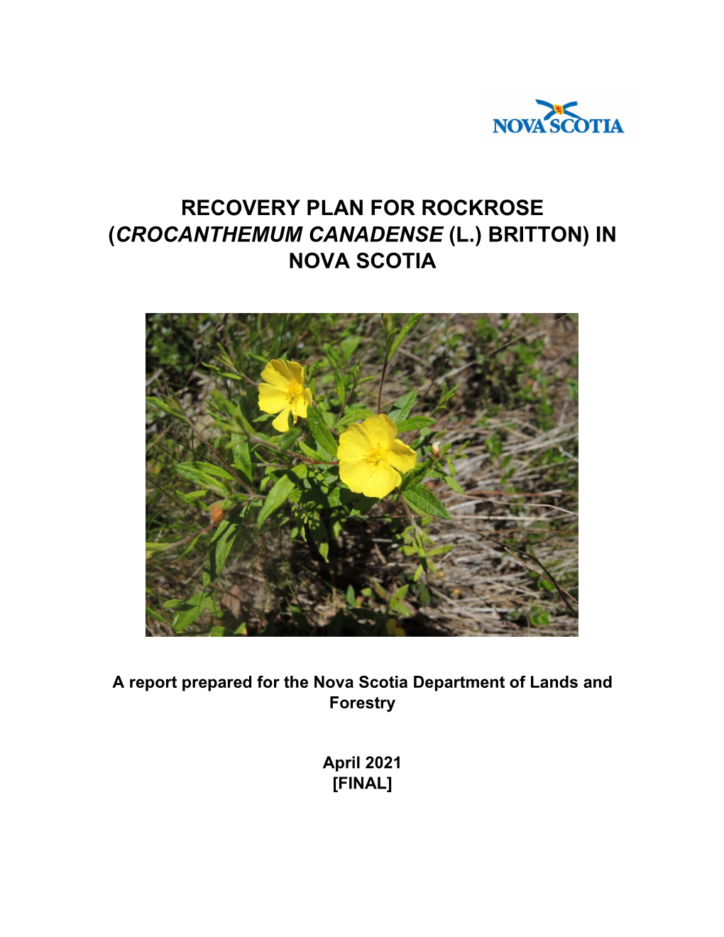 Recovery Plan for Rockrose (Crocanthemum Canadense (L.) Britton) in Nova Scotia