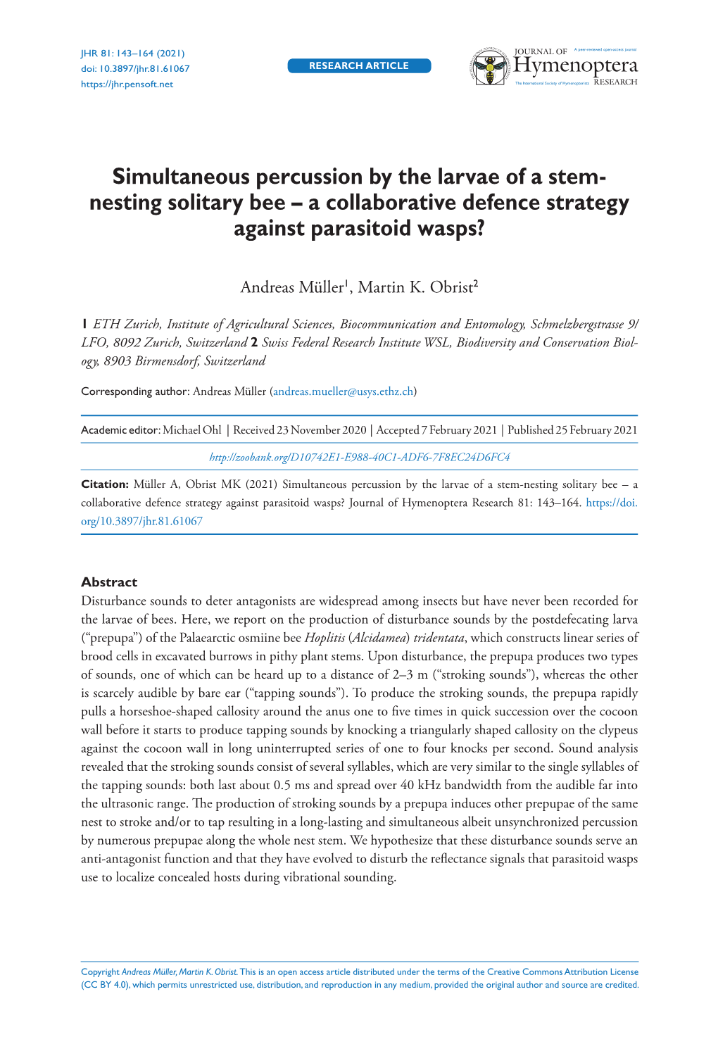 Simultaneous Percussion by the Larvae of a Stem-Nesting Solitary