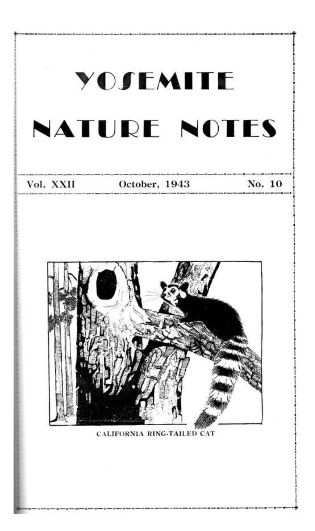 Nature Notes