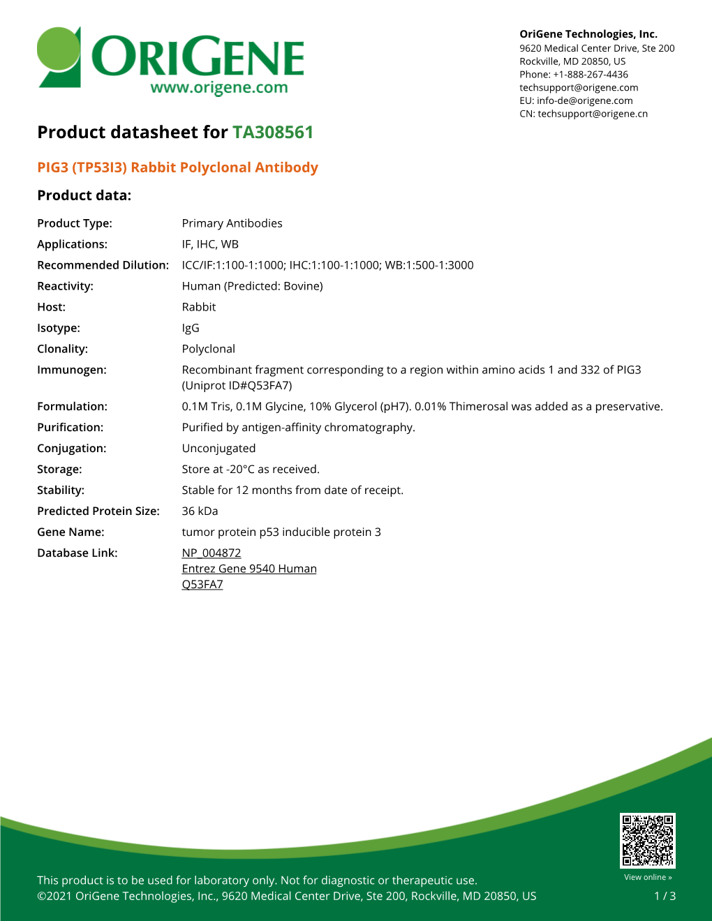 PIG3 (TP53I3) Rabbit Polyclonal Antibody – TA308561 | Origene