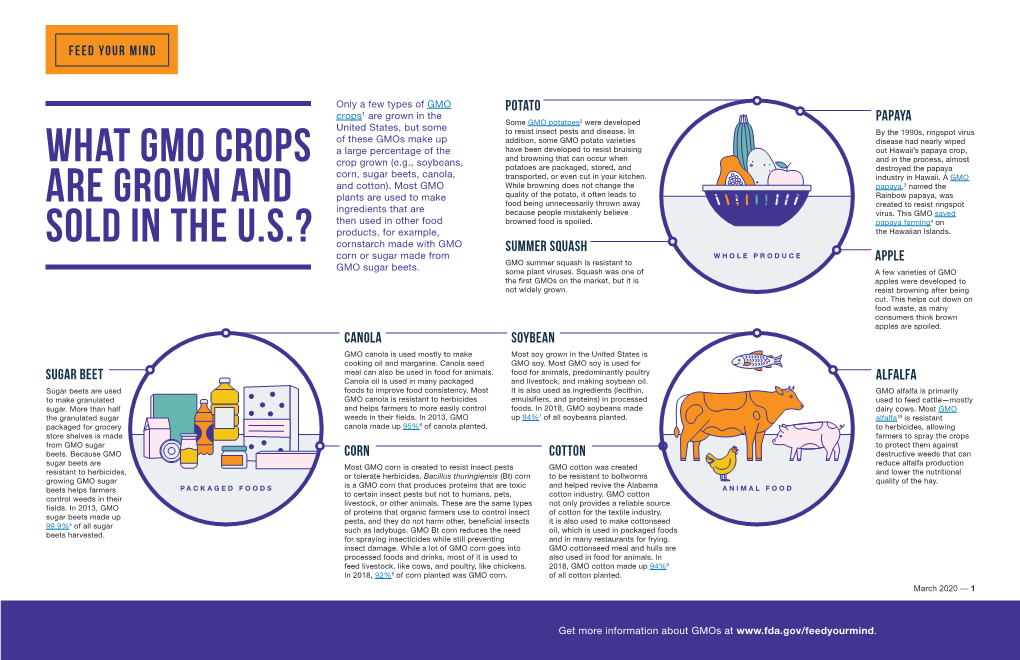 What GMO Crops Are Grown and Sold in the U.S.?