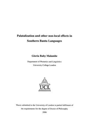 Palatalization and Other Non-Local Effects in Southern Bantu Languages