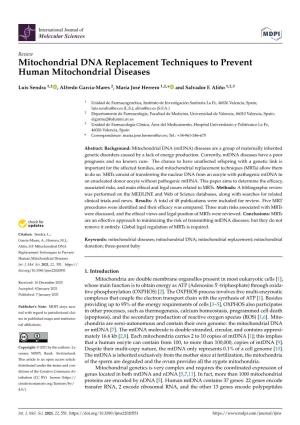 Mitochondrial DNA Replacement Techniques to Prevent Human Mitochondrial Diseases