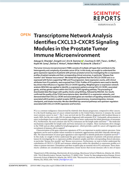 Transcriptome Network Analysis Identifies CXCL13-CXCR5 Signaling Modules in the Prostate Tumor Immune Microenvironment