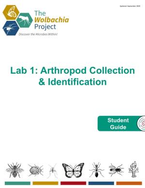Arthropod Collection & Identification