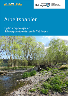 Arbeitspapier Hydromorphologie an Schwerpunktgewässern in Thüringen