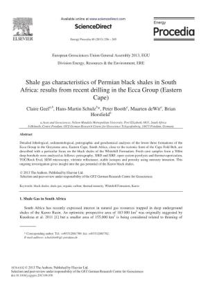Shale Gas Characteristics of Permian Black Shales in South Africa: Results from Recent Drilling in the Ecca Group (Eastern Cape)