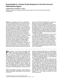 Proenkephalin Is a Nuclear Protein Responsive to Growth Arrest and Differentiation Signals Angelika Biittger and Barbara A