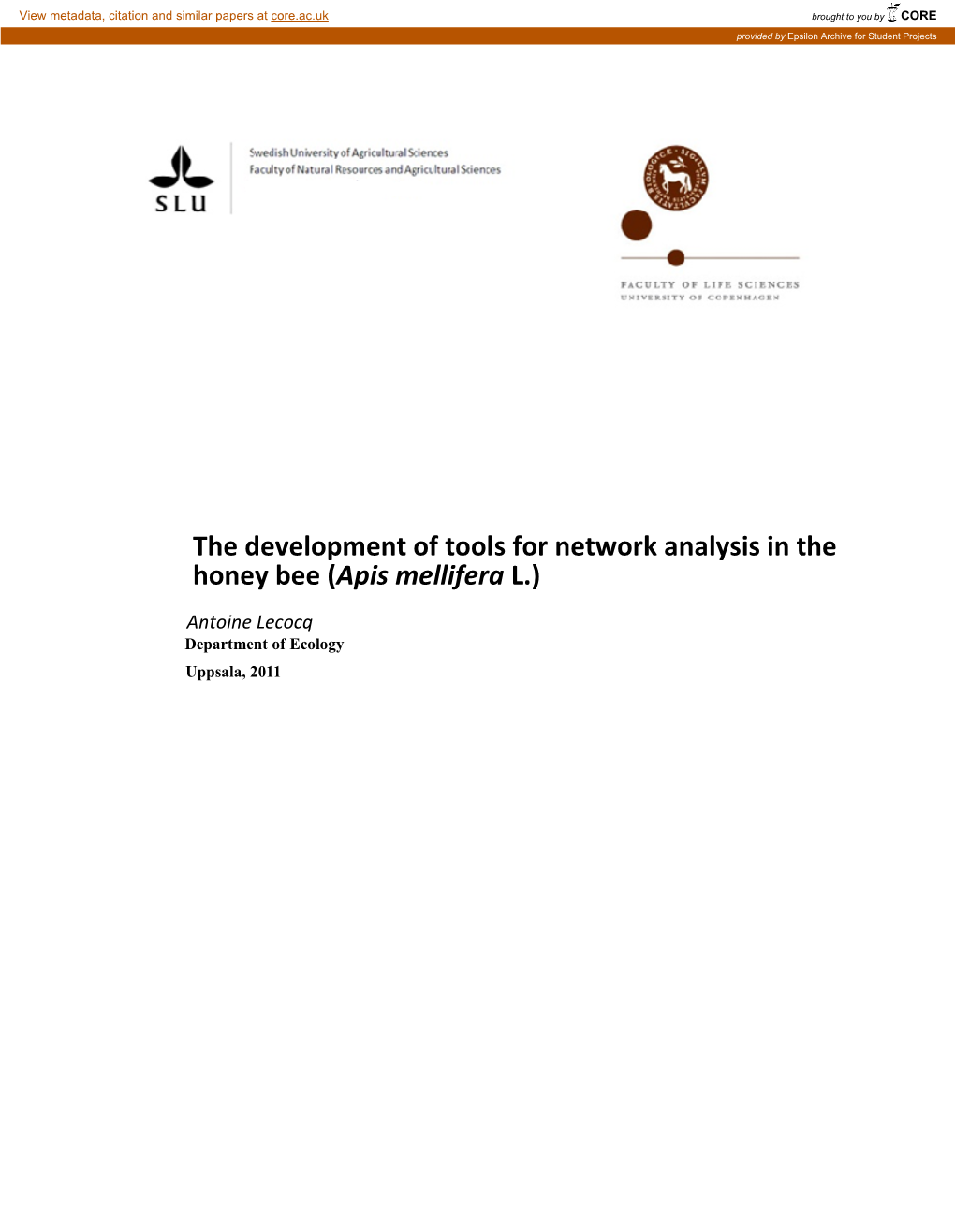 The Development of Tools for Network Analysis in the Honey Bee (Apis Mellifera L.)