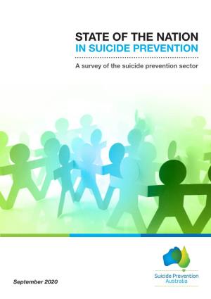 State of the Nation in Suicide Prevention