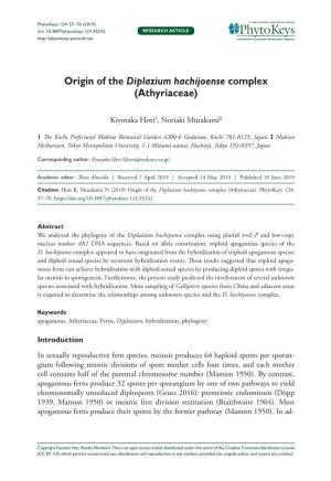 Origin of the Diplazium Hachijoense Complex (Athyriaceae)