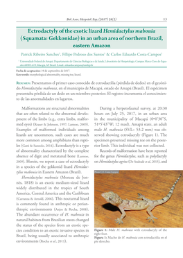 Ectrodactyly of the Exotic Lizard Hemidactylus Mabouia