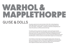 Warhol Mapplethorpe Labels.Pdf