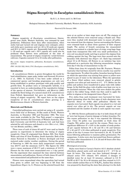 Stigma Receptivity in Eucalyptus Camaldulensis DEHNH