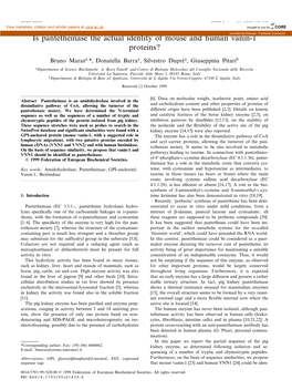 Is Pantetheinase the Actual Identity of Mouse and Human Vanin-1 Proteins?