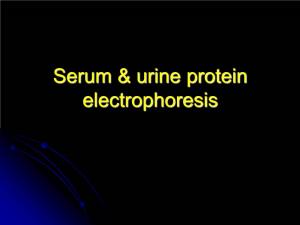 Serum & Urine Protein Electrophoresis