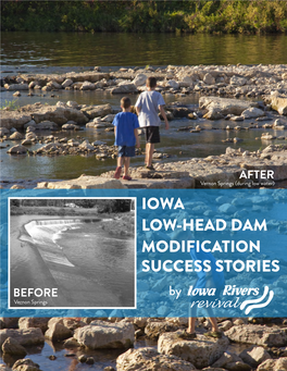 Iowa Low-Head Dam Modification Success Stories