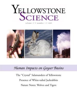 Human Impacts on Geyser Basins