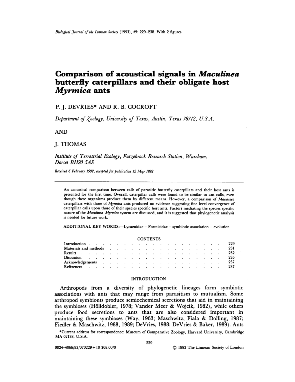 Myrmica Ants