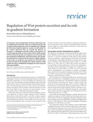 Regulation of Wnt Protein Secretion and Its Role in Gradient Formation Kerstin Bartscherer & Michael Boutros+ German Cancer Research Center, Heidelberg, Germany