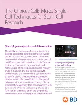The Choices Cells Make: Single- Cell Techniques for Stem-Cell Research