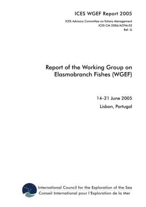 WGEF Report 2005