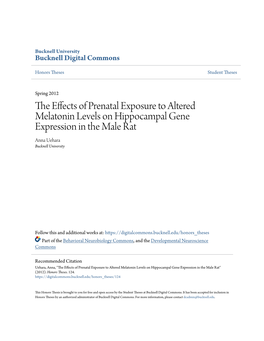 The Effects of Prenatal Exposure to Altered Melatonin Levels on Hippocampal Gene Expression in the Male Rat" (2012)