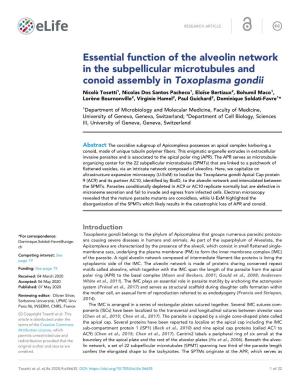 Essential Function of the Alveolin Network in the Subpellicular