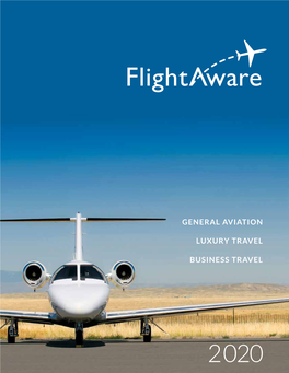 General Aviation Luxury Travel Business Travel