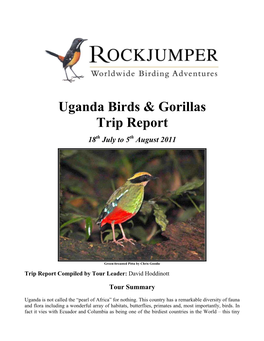 Uganda Birds & Gorillas Trip Report