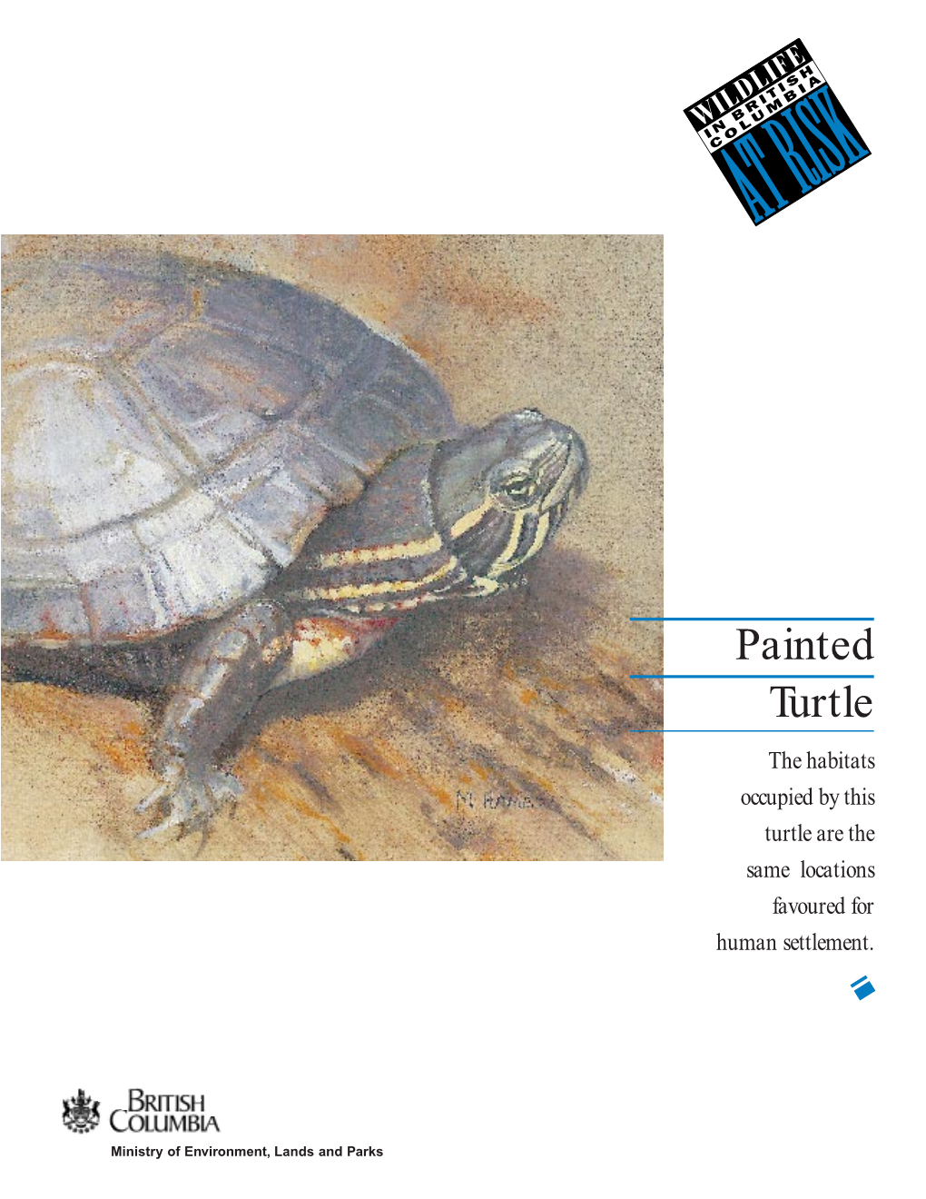 Painted Turtle