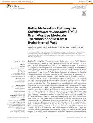 Sulfur Metabolism Pathways in Sulfobacillus Acidophilus TPY, a Gram-Positive Moderate Thermoacidophile from a Hydrothermal Vent