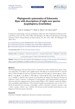 Phylogenetic Systematics of Schacontia Dyar with Descriptions of Eight New Species (Lepidoptera, Crambidae)