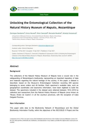 Unlocking the Entomological Collection of the Natural History Museum of Maputo, Mozambique