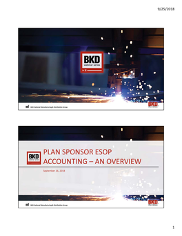 Plan Sponsor Esop Accounting – an Overview