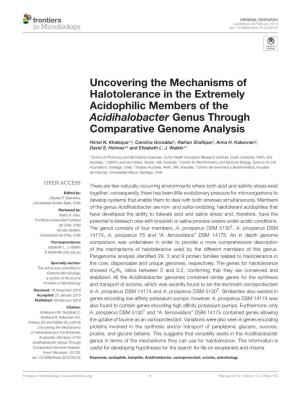 Uncovering the Mechanisms of Halotolerance in the Extremely Acidophilic Members of the Acidihalobacter Genus Through Comparative Genome Analysis