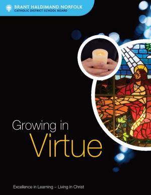 Growing in Virtue