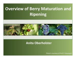 Overview of Berry Maturation and Ripening