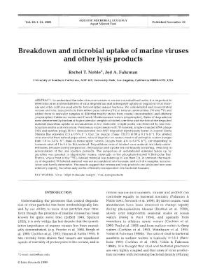 Breakdown and Microbial Uptake of Marine Viruses and Other Lysis Products