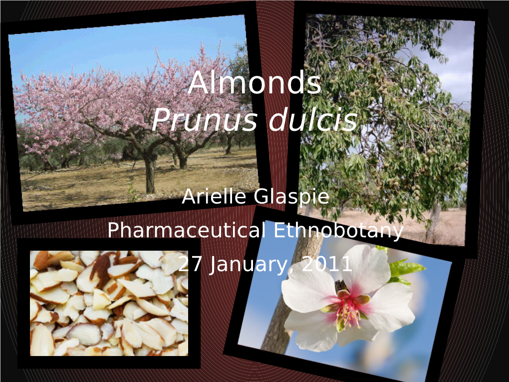Almonds Prunus Dulcis