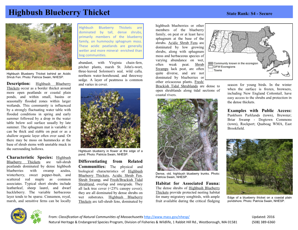 Highbush Blueberry Thicket State Rank: S4 - Secure