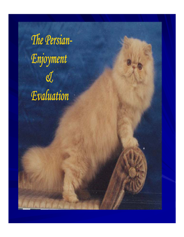 The Persian- Enjoyment & Evaluation LEGEND of PERSIAN