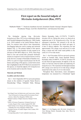 First Report on the Fossorial Tadpole of Micrixalus Kottigeharensis (Rao, 1937)