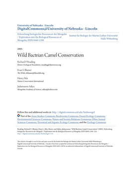 Wild Bactrian Camel Conservation Richard P